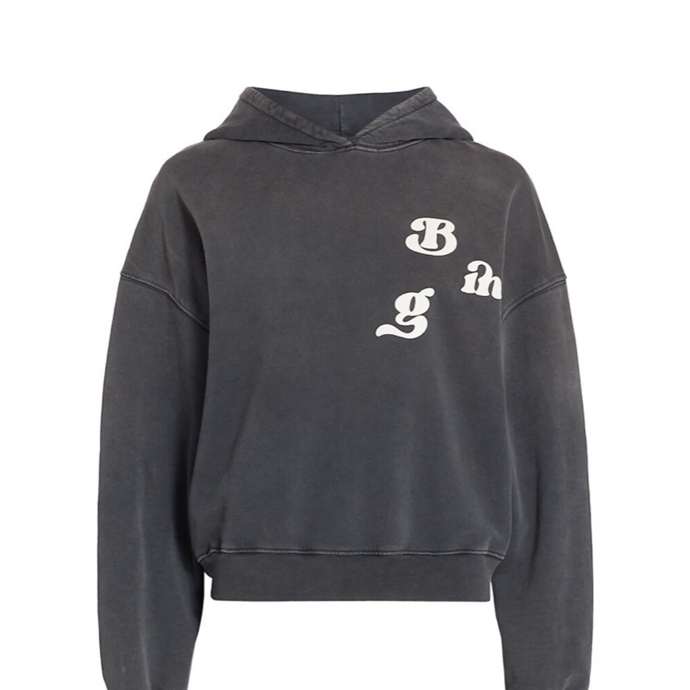 Anine bing oversized cropped sweatshirt!!!!